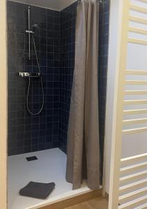 Maisons de vacances Chez Juliette - Maison et jardin - bord de Loire a Saumur : photos des chambres