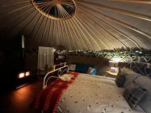Sunbank Yurt - Trevor