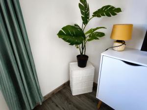 Grand T3 centre du havre