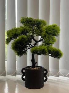 Modern Studio Kidderminster Centre Flat 3