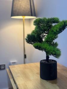 Modern Studio Kidderminster Centre Flat 3