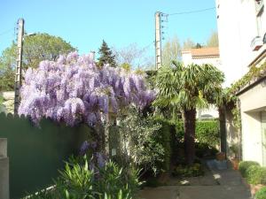 Appartements Arles les Alyscamps : photos des chambres