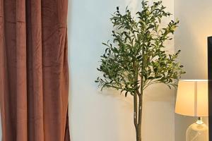 Appartements Henri en scene - Charme & Confort en Hypercentre Chartres - Au pied de la Cathedrale : photos des chambres