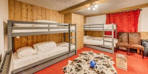 Chalet La Sachette - Chalets pour 14 Personnes MAE-1831