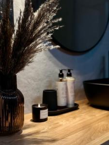 Wolności9 Stylowy Apartament w centrum Wrocławia tuż przy NFM