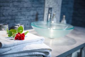 B&B / Chambres d'hotes Les Roses de Montherlant : photos des chambres