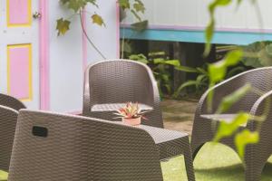 Candyland Apartment Rentals