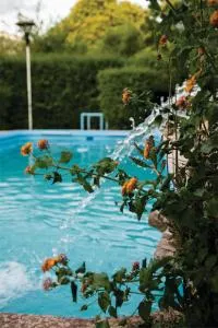 LA CASONA DEL HUGO - 比亚莱特马西