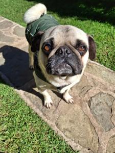 habitación en medio de la naturaleza