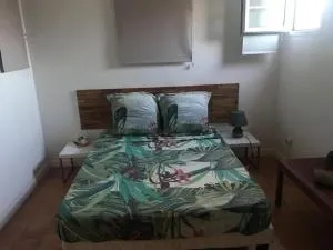 Chambre en appart Duplex chez l'habitant - Lazaret