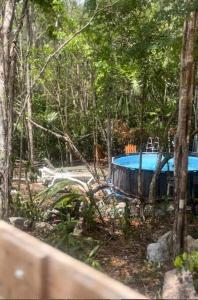 Casa Dharma House in the jungle