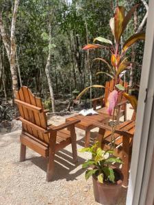 Casa Dharma House in the jungle