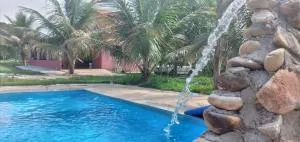 lírios do cerrado - 戈亚内西亚