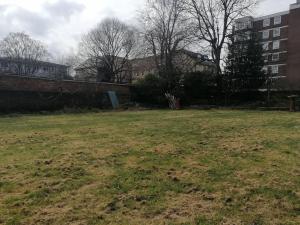 1 Large Comfy Garden Studio - Prime Location