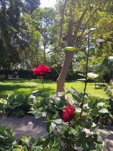 Casona estilo colonial