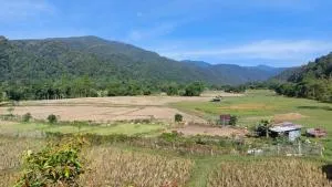 2B's Coffee and Bed - Ban Pha Khap