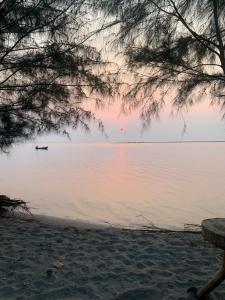 Muchilena fishing club & suites