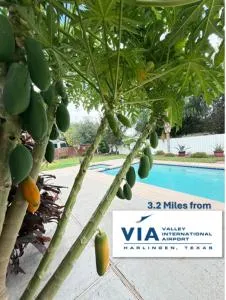 Casa Colibrí - 布朗斯维尔