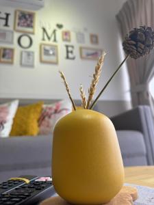 Decozy 9 Ipoh Town Condo 12pax