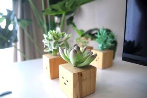 Decozy 9 Ipoh Town Condo 12pax