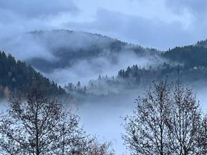 Chambres dhôtes à la montagne, animaux acceptés - FR-1-589-735