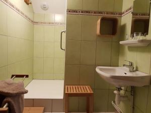 B&B / Chambres d'hotes Chambres d-hotes a la montagne, animaux acceptes - FR-1-589-735 : photos des chambres