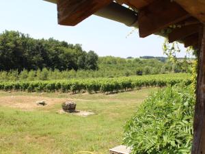 Maisons de vacances Grande Maison de Caractere avec Piscine Privee au Coeur du Vignoble de Bergerac - FR-1-616-128 : Maison de Vacances (13 Adultes)