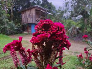 Hospedaje Luis & Ana