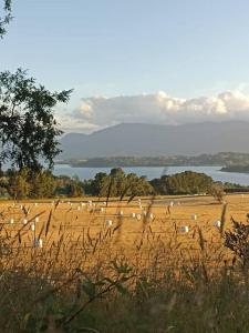 Lakustre Cabins - Acogedora cabaña de campo en Panguipulli