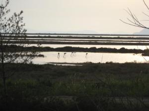 Appartements Les Hirondelles : photos des chambres