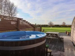 Bevy - 伯顿阿格尼斯