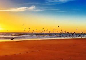 The Perfect Beach Getaway for Couples