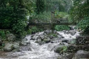 Taman Wisata Bougenville - Cipanas