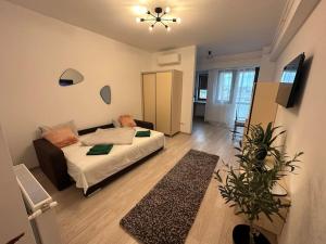 Olive - a fresh beginning