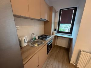 Olive - a fresh beginning