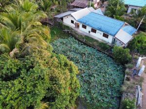 Positive Energy Homestay and Guide in Chiangkhan