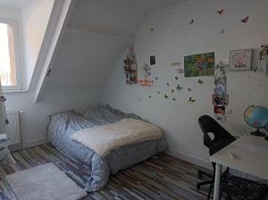 maison face au château