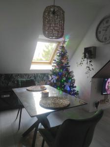 Appartements L-Obernai : photos des chambres