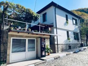 Къща за гости Василеви - Ustina