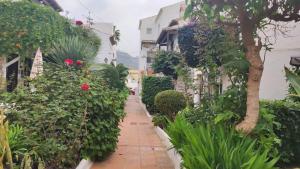 NUEVA NERJA 22 MENYBER