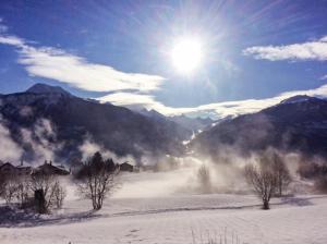 Sunny Lily facing the swiss Alps - Crans Montana