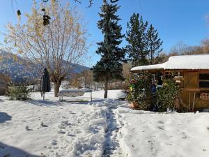 Sunny Lily facing the swiss Alps - Crans Montana