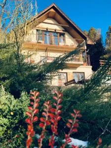 Repülőhal Apartmanház - Pilismarót