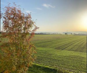 Schöne Fewo in Röttbach