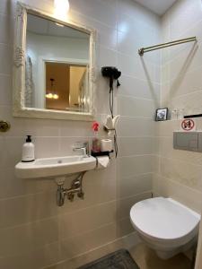 Cozy 1-bedr in the centre near Old Town with private parking