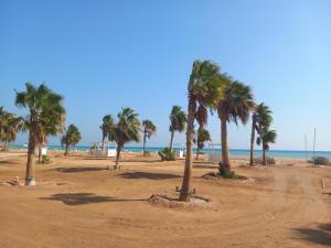 Stunning 3 beds apt - New Marina - El Gouna