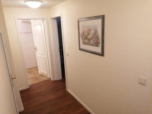 Haus-Meisennest-Wohnung-Star