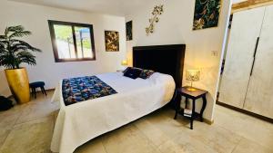 Villas villa luxueuse en Provence, Luberon : photos des chambres