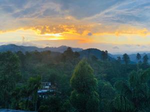 NV Homestay
