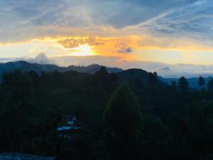 NV Homestay